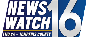 NewsWatch Logo